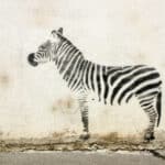 Frag das ZEBRA